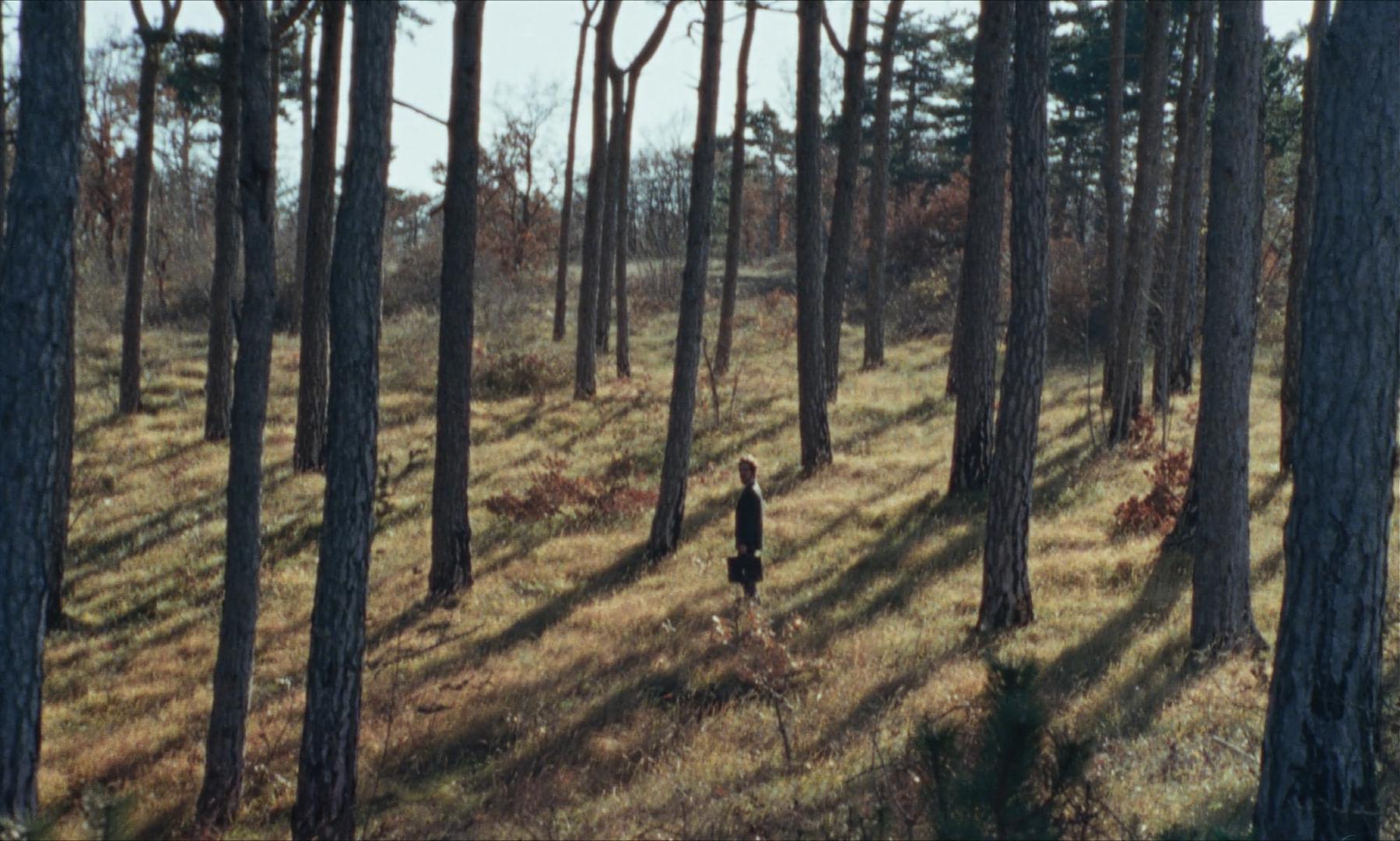 Story_About_Wind 5